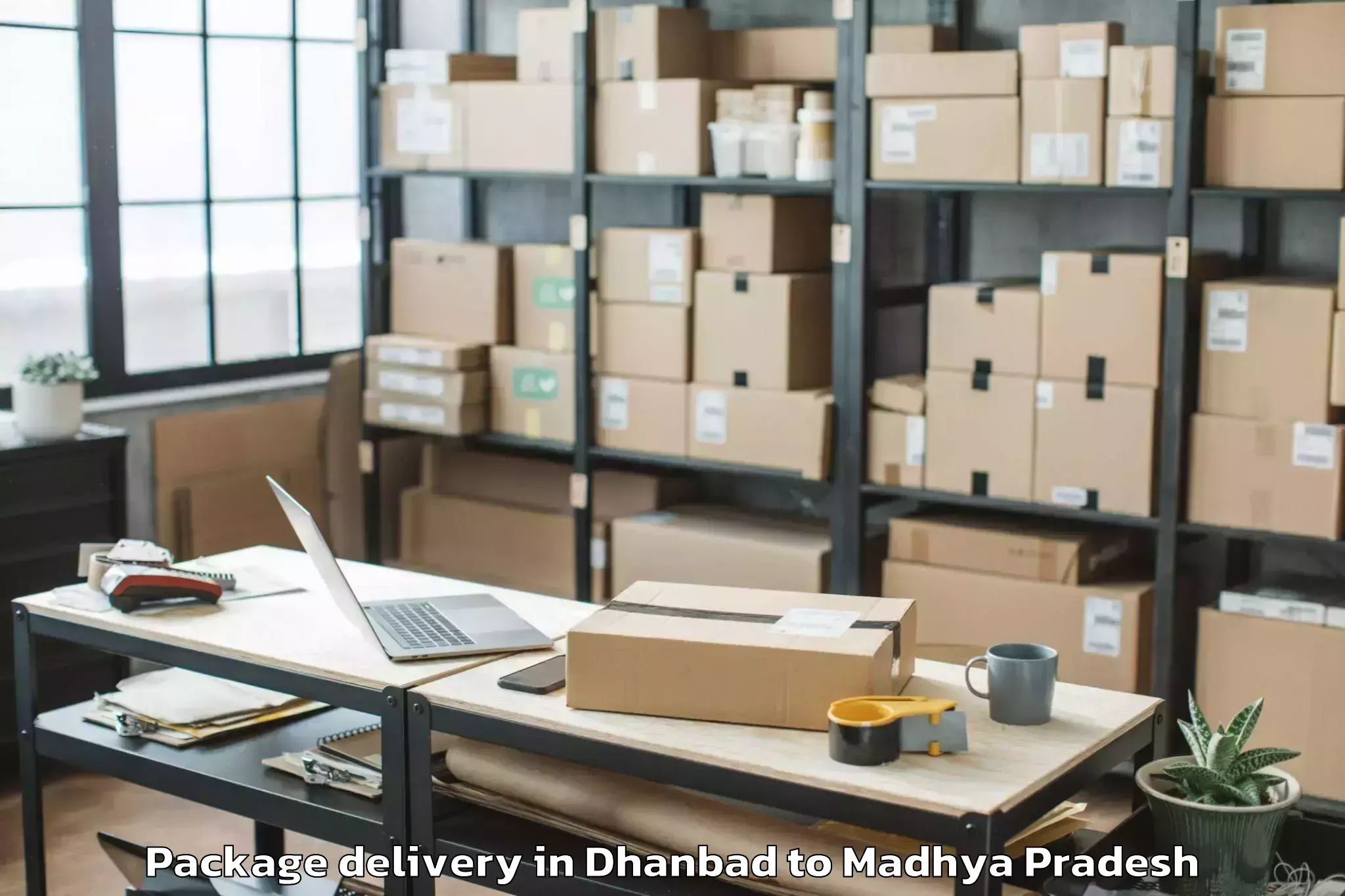 Easy Dhanbad to Maharaja Chhatrasal Bundelkhan Package Delivery Booking